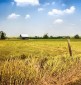 Rural Ontario