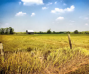 Rural Ontario